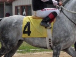 Dancers Traveler at the track