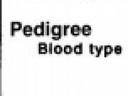 Ardansk Pedigree