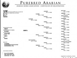 Pedigree