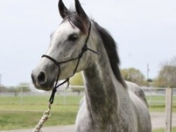Potoriah 4 years old