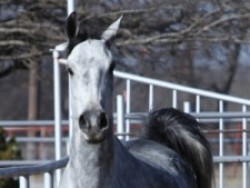 Kwiksand (2015) 15 HH
