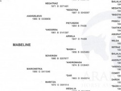 Mabeline 